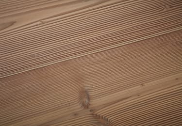 Forest Douglas Fir